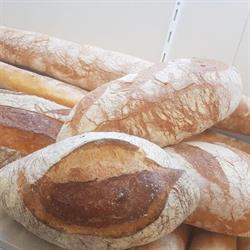 Non Solo Pane