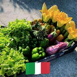 Azienda Agricola GEA di Giannotti Alessio