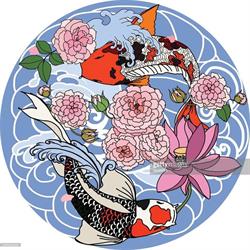 Pescheria Carpa Koi