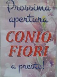 Conio Fiori