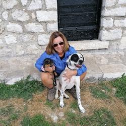 Ambulatorio Veterinario Iacometta