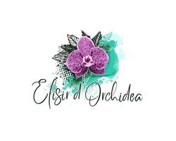 Elisir d'orchidea