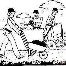 Servizio Giardinaggio Alpago
