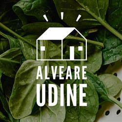 Alveare Udine