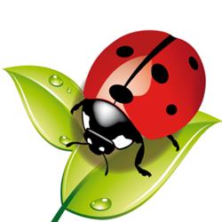 The Ladybug Holiday House