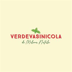 Verdevasinicola