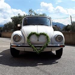 MAGGIOLINO Reggio Calabria