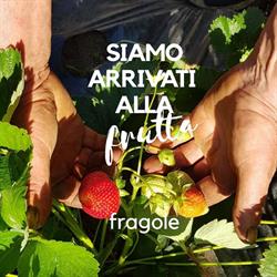 Siamo Arrivati Alla Frutta