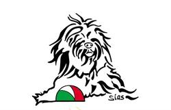 Società Italiana Amatori Schapendoes