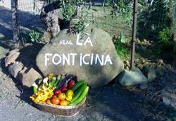 Azienda agricola la fonticina