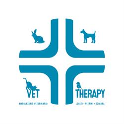 Vet Therapy
