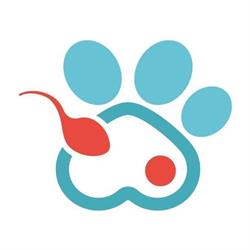 PoliambulatorioVet - Centro Veterinario Polispecialistico