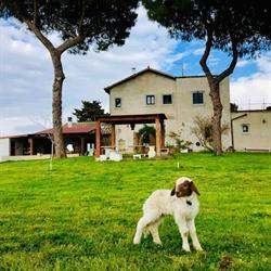 Il casale delle ragazze
