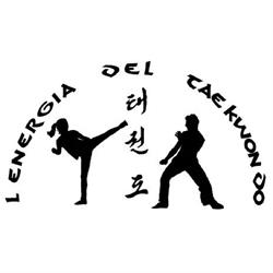 L' Energia del Tae Kwon Do