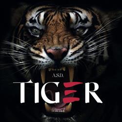 ASD TIGER karate team