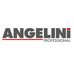Angelini Professional Srl (Pomezia, Lazio)