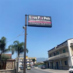 Love For Pets
