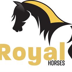 Royal Horses
