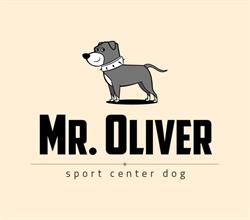 Sport Center Dog