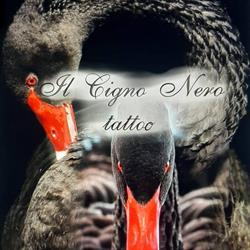 Il Cigno Nero Tattoo - Trepuzzi
