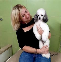 Daria Grooming salon & Toelettatura SPA