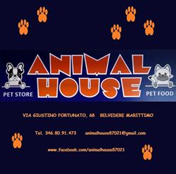 Animal House