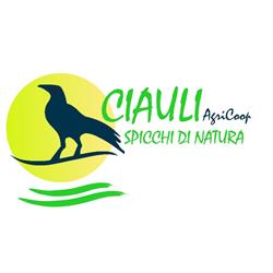 Spaccio Ciauli - Comunità Contadina