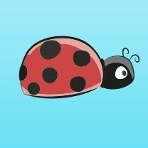 Coccinelle di Circe