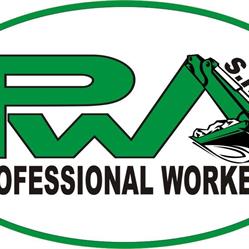 Professional Workers srl