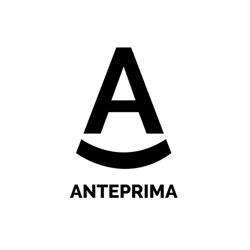 Anteprima di Alan e Angelo