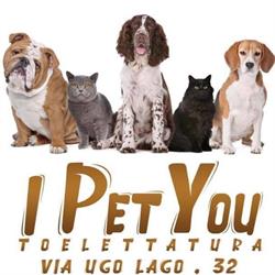 I Pet You