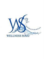Wellness Soul