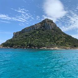 Appartamenti Le Primule
