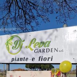 Di Leva Garden s.r.l Piante e Fiori