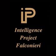 Intelligence Project Falconieri