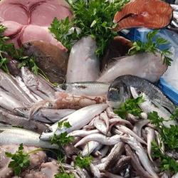 Le delizie del mare da daniele