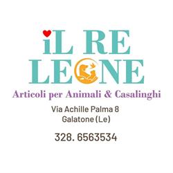 IL RE LEONE