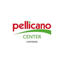 Pellicano Center Capodrise