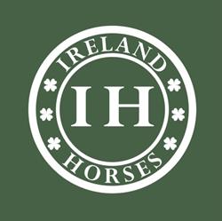 Ireland Horses
