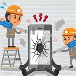 Il Perna Riparatore