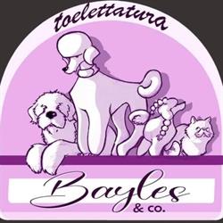 Bayles & co.