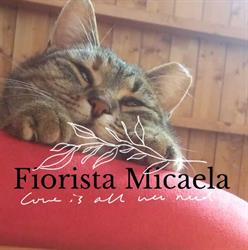 Fiorista Micaela , Flowers & Tea time