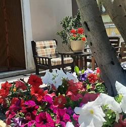Holiday House Nellina