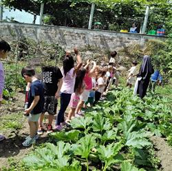 Istituto Divino Amore - Scuola dell'Infanzia Paritaria
