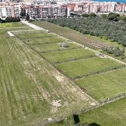 DOG'S LAND-Bisceglie