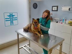 Ambulatorio Veterinario Dr.ssa Anna Mattioli