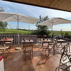 Bar Paradise