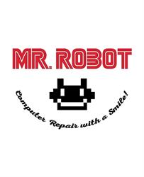 Mr. Robot Consulting & Services