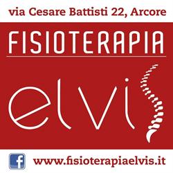 Fisioterapia Elvis
