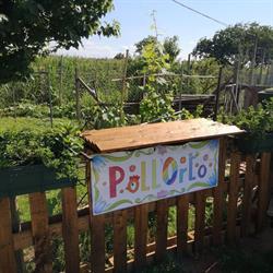 Poll'Orto